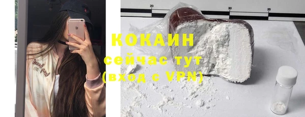 сатива Рославль